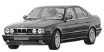 BMW E34 C213D Fault Code